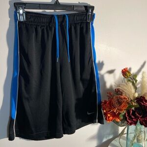 Nike Dri-Fit Activewear Shorts